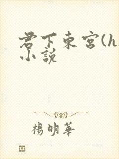 君下东宫(h)小说