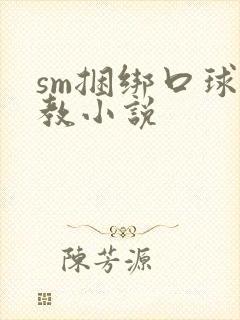 sm捆绑口球调教小说
