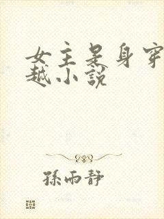 女主是身穿的穿越小说封面