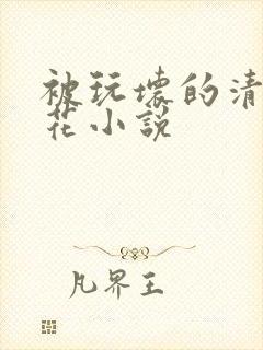 被玩坏的清纯校花小说封面