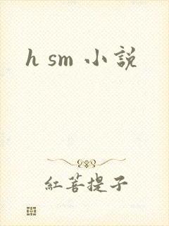 h sm 小说