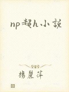 np超h小说封面
