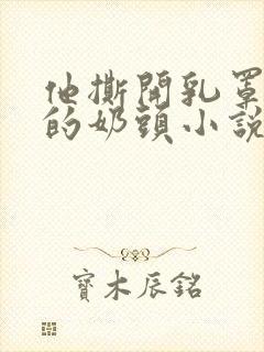 他撕开乳罩吸我的奶头小说