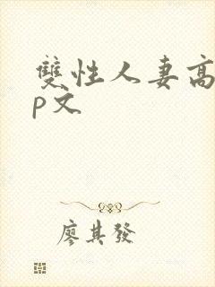 双性人妻高hnp文
