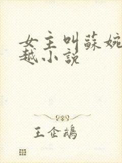 女主叫苏婉的穿越小说