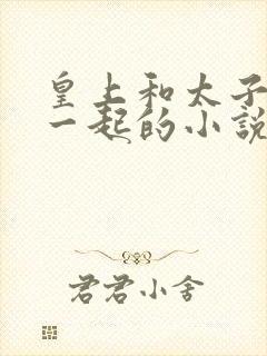 皇上和太子妃在一起的小说封面