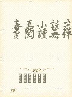 春喜小说宋昭免费阅读无弹窗封面