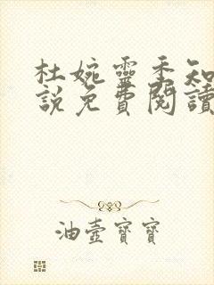 杜婉灵季知景小说免费阅读最新章节