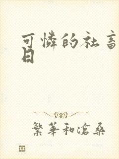 可怜的社畜东度日