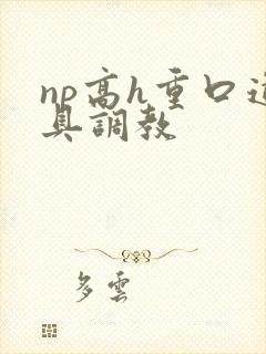 np高h重口道具调教