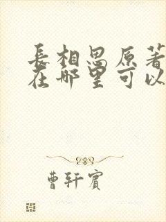 长相思原著小说在哪里可以看