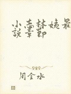 小志林姨最新小说章节