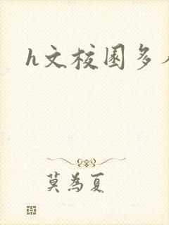 h文校园多人