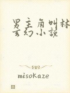 男主角叫林萧的玄幻小说