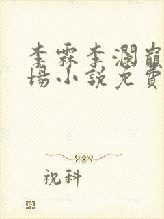 李霖李澜巅峰官场小说免费阅读