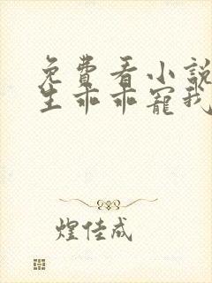 免费看小说霍先生乖乖宠我封面