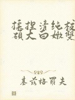 揉捏清纯校花的硕大白嫩双乳小说