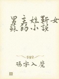 男主姓靳女主姓苏的小说