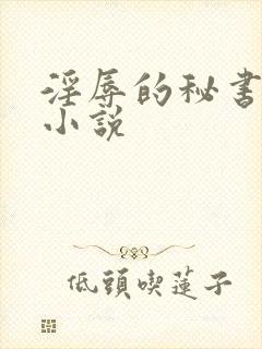 淫辱的秘书调教小说封面