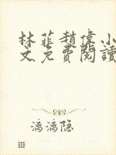 林菲赵伟小说全文免费阅读