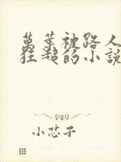 万叶被路人捡到狂超的小说