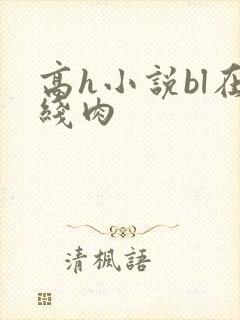 高h小说bl在线肉