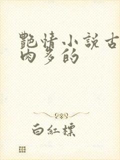 艳情小说古言肉肉多的