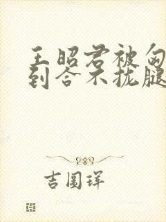 王昭君被匈奴c到合不拢腿小说