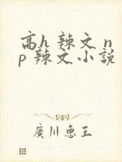 高h 辣文 np 辣文小说