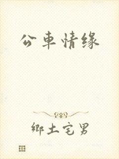 公车情缘