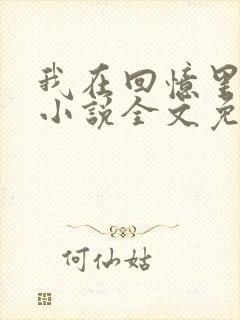 我在回忆里等你小说全文免费阅读