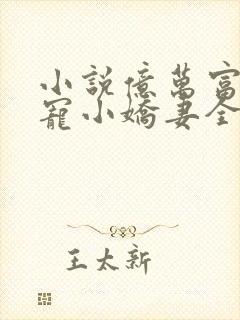 小说亿万富豪独宠小娇妻全文阅读