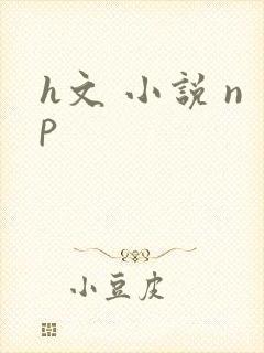 h文 小说 np