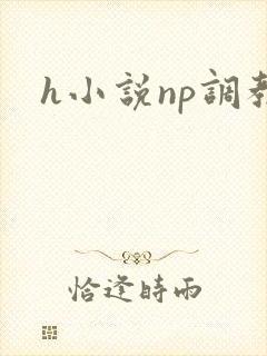 h小说np调教