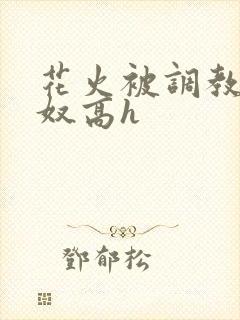 花火被调教成肉奴高h封面
