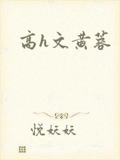 高h文黄蓉封面