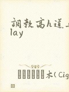 调教高h道具play