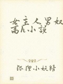 女主人男奴调教高h小说