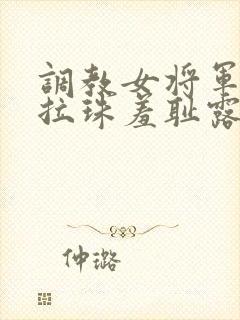 调教女将军走绳拉珠羞耻露出系统封面