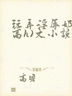 玩弄淫辱奶头(高h)文小说