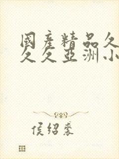 国产精品久久久久久亚洲小说