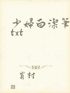 少妇白洁笔趣阁txt