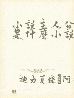 小说主人公林天是什么小说