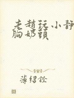 老赵玩小静揉捏胸奶头