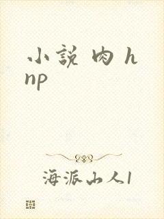 小说 肉 h np封面