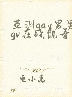 亚洲gay男男gv在线观看封面