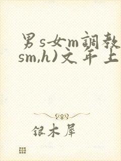 男s女m调教(sm,h)文年上