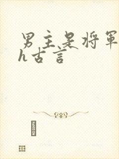 男主是将军的高h古言