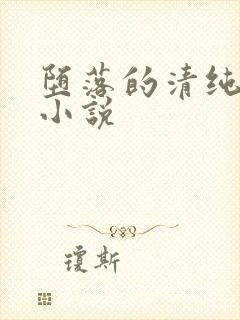 堕落的清纯校花小说