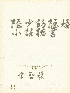 陆少的隐婚罪妻小说听书